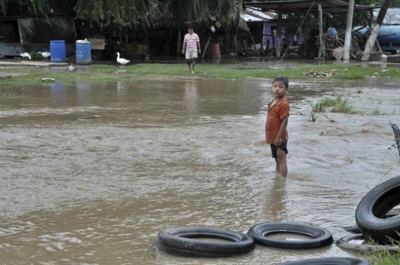 Regiones húmedas y EFE