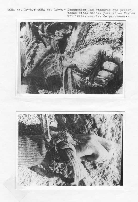 381205_284352714944679_194263083953643_862243_117778420_n