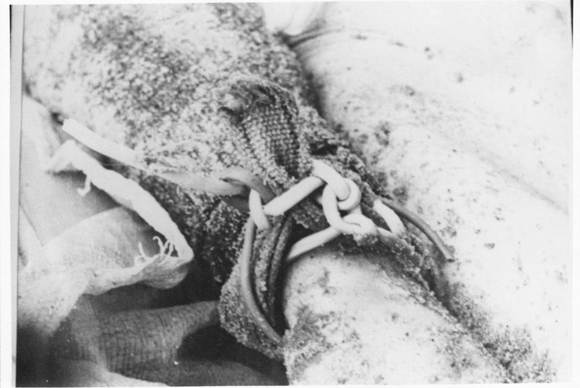 385995_284353621611255_194263083953643_862251_684028103_n