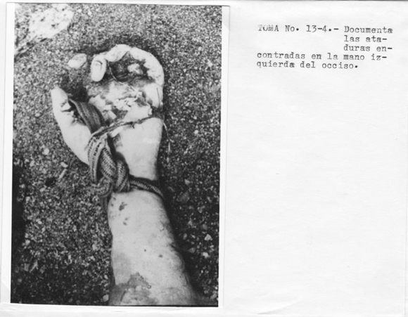 387375_284352798278004_194263083953643_862244_719336213_n