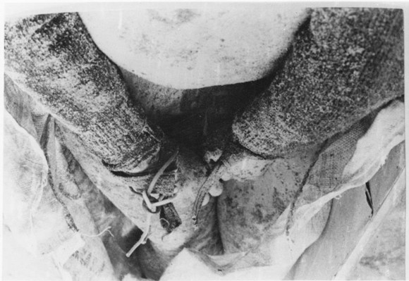 388617_284353861611231_194263083953643_862253_918090426_n