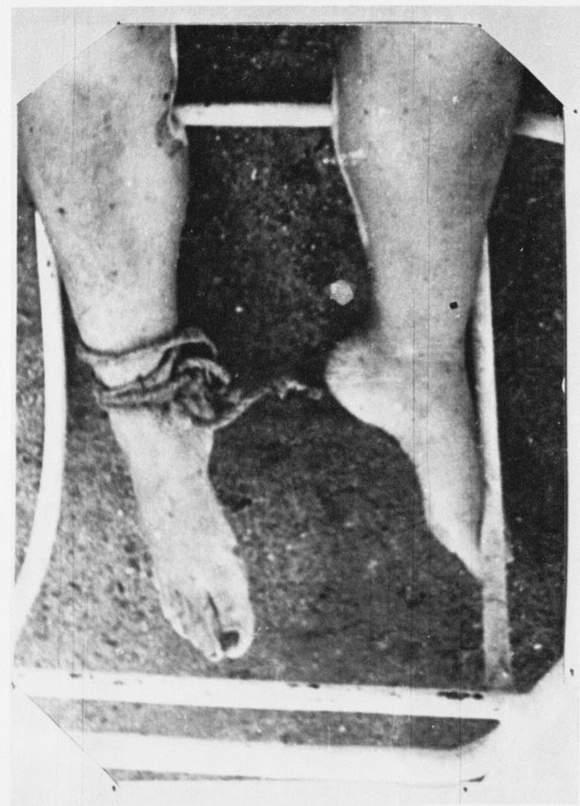 390482_284353751611242_194263083953643_862252_576654312_n