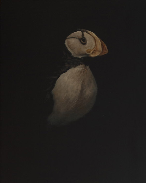 04-puffin-0028northern-lights0029-copy