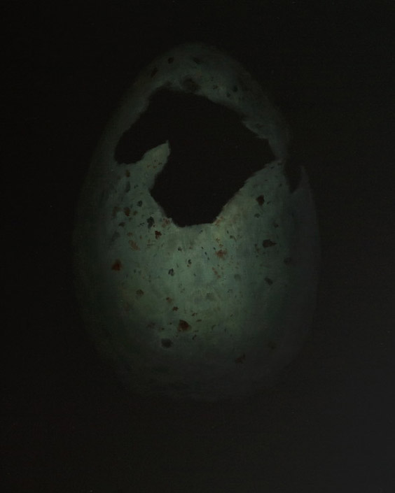 10-black-guillemot-copy