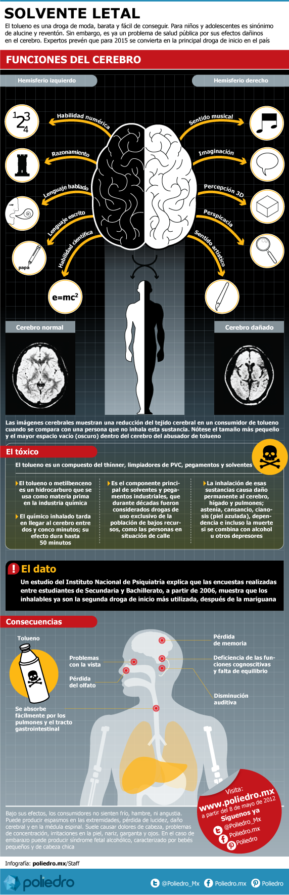 cerebro-tolueno570px