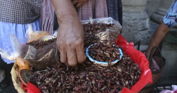 Oaxaca_Comerciantes-3