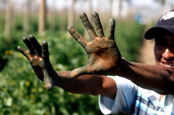 Trabajadores del campo. Foto: Cuartoscuro