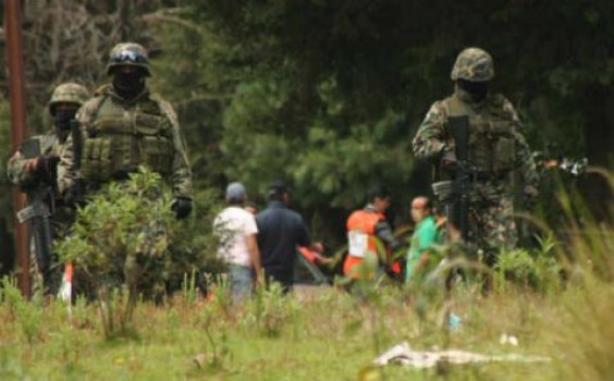 show_image_NpAdvMainFea-1