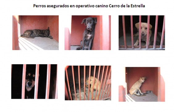 cs2013-006_2_1357607073