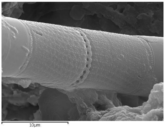 slide_275773_2002852_free