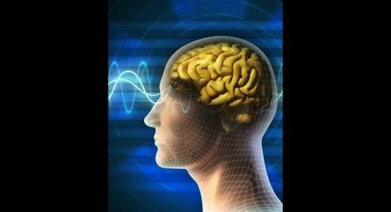 Foto: Universidad de Oxford