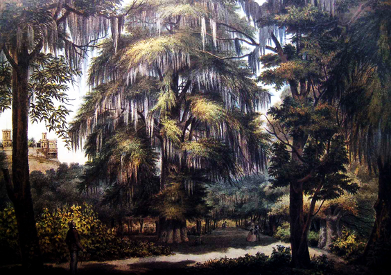 Bosque de Chapultepec en el siglo XIX, litografía de Casimiro Castro