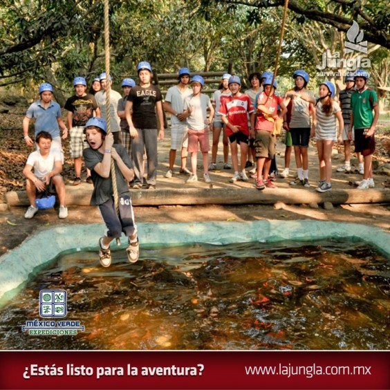 923182_157891027719063_1470408472_n