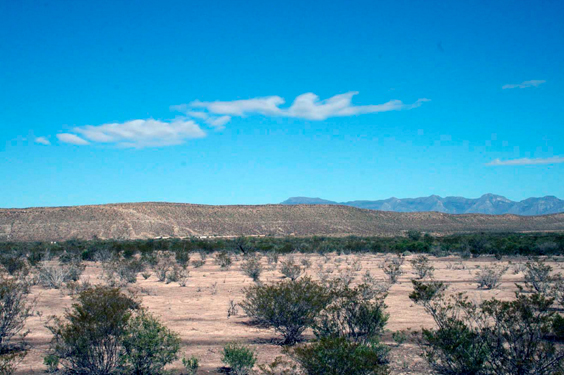Desierto de Coahuila
