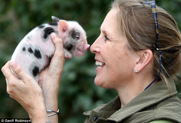 Jane Croft con uno de sus mini pigs