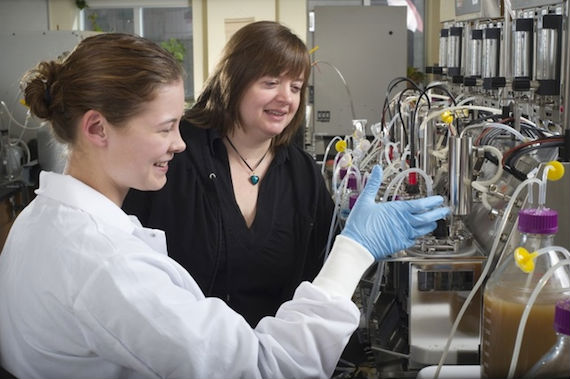 Foto: University of Guelph