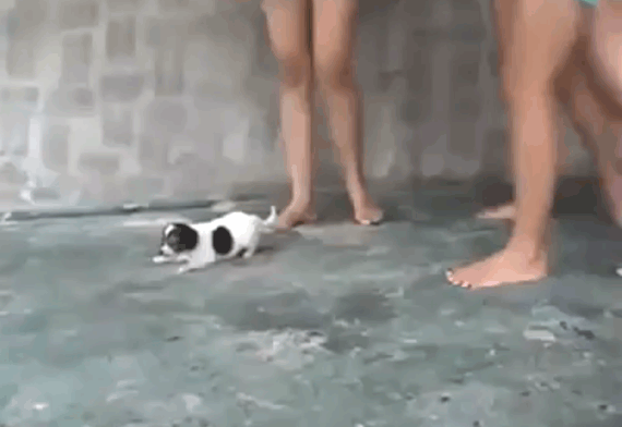 Foto-tomada-de-video-de-Facebook1