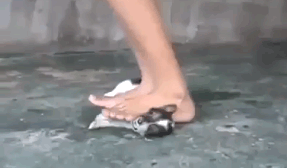 Foto-tomada-de-video-de-Facebook2