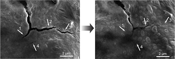 Foto: C. Wang/Nature Chemistry