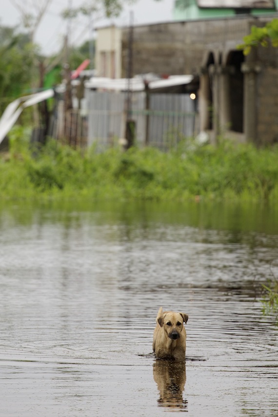 Inundaciones en Tabasco en noviembre de 2013. Foto: Cuartoscuro.