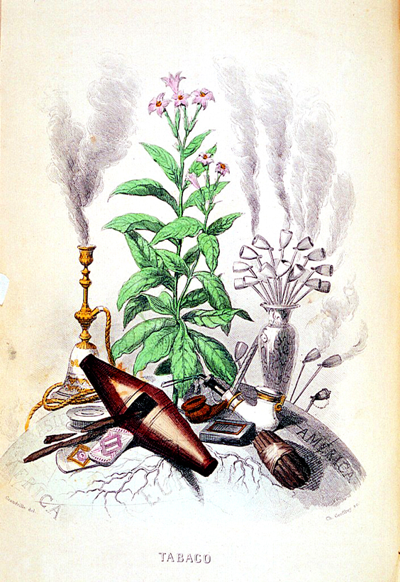 El tabaco estaba grabado con impuestos especiales.