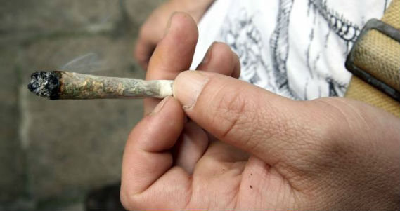 Un equipo internacional de investigadores en Francia descubrió que una hormona esteroidea natural es capaz de reducir la euforia causada por el ingrediente psicoactivo en la marihuana. Foto: EFE