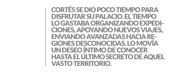 ENTRESACADO_MICRO5ENE