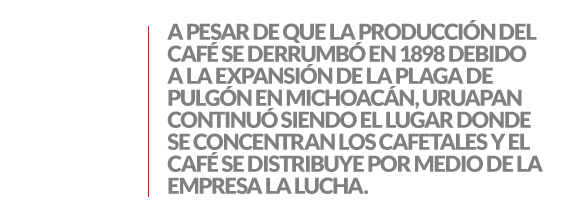 ENTRESACADO_MICRO_DOM19ENE