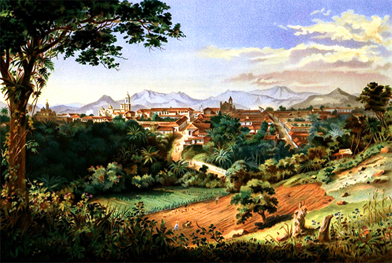 El café sembrado por primera vez en la Nueva España en la ciudad de Córdoba, en el actual estado de Veracruz.