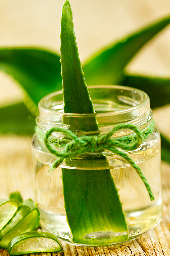 Extract of organic aloe vera gel on wooden background / Foto: Shutterstock