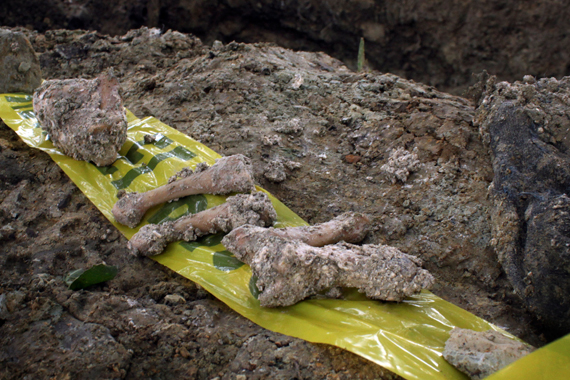 Restos encontrados en Veracruz, en marzo de este año. Foto: Cuartoscuro