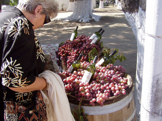 Molokanes del Valle de Guadalupe. Cortesía: Skyscrapercity