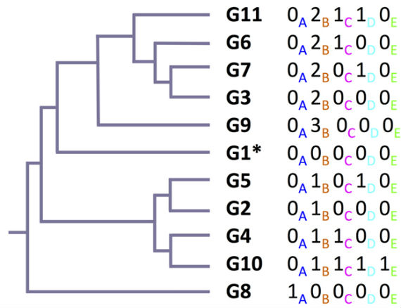 Vinatzer ve a su sistema como una manera de agregar los datos definitorios más específicos para la clasificación de los organismos. Foto: Astrobiology
