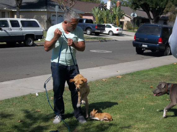 Puesto a prueba en su nuevo show, César 911. Foto: NatGeo Wild