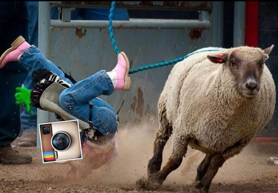 Foto: Vía Twitter @Gaffandalf