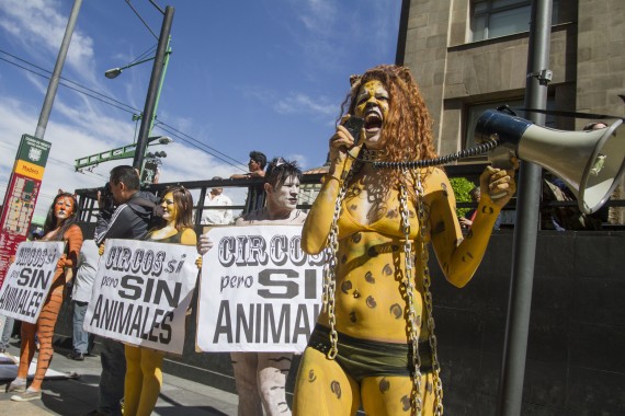 Circo_sin_Animales-6