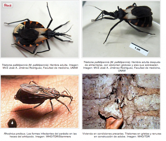 Captura de pantalla 2014-05-20 a la(s) 19.21.09