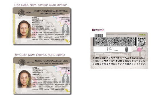 Así será la nueva credencial del INE para votar. Foto: Cortesía.
