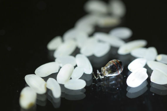 Los dispositivos que se implantarían son tan pequeños como un grano de arroz. Foto: Stanford University