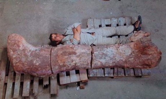 Foto: theguardian.com