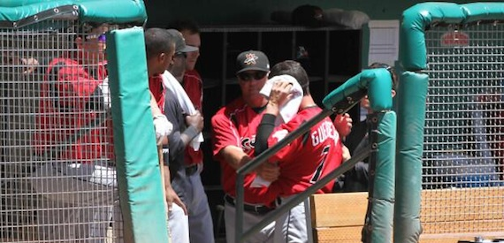 Foto: stingembees.com