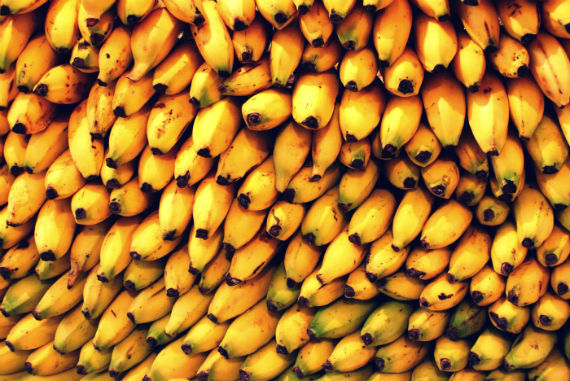 México produce al año 2.2 millones de toneladas de plátano al año. Foto: Cuartoscuro