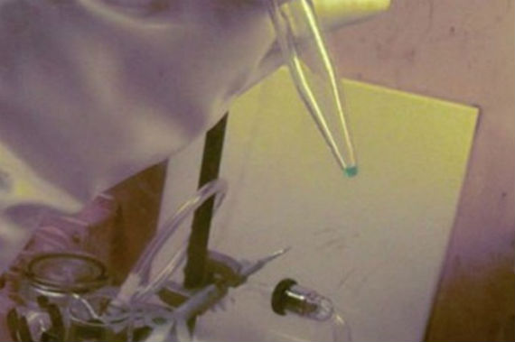 La confirmación de la nueva síntesis del Elemento 117 oficializa su legitimación, aunque aun falta que se confirme por parte de la IUPAC. Foto: EFE