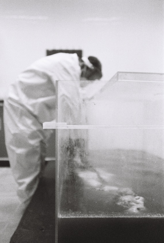 Para que haya una distribución equitativa en el Jacuzzi, el cuerpo se debe girar cada 12 horas. Aquí está Hernández girándolo después de 72 horas. Foto: Brian Anderson, Vice.