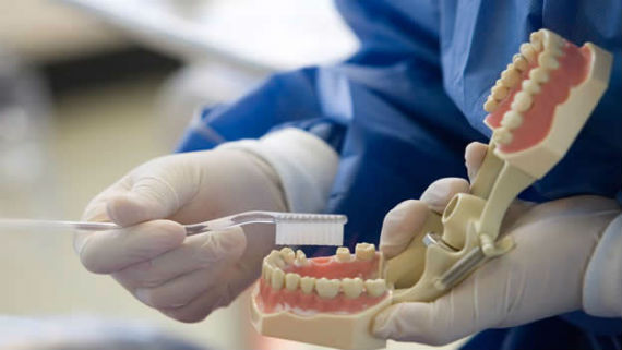 La nueva investigación da esperanzas a aquellos que presentan la ausencia de una o varias piezas dentales. Foto: EFE