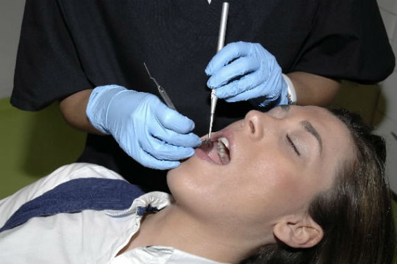 El tratamiento tomaría las células madre encontradas en la pulpa dentaria para hacer crecer nuevos dientes. Foto: EFE