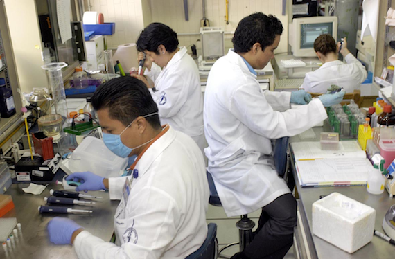 UNAM trabaja en nuevas formulaciones farmacéuticas que aprovechen las propiedades de los nanomateriales. Foto: www.unam.mx