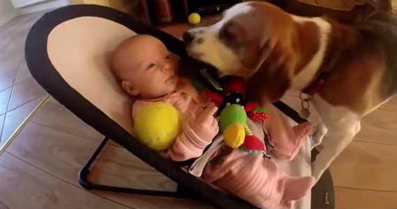 Bastaron unas cuantas lágrimas para hacer entrar en razón al perrito, que de inmediato trató de compensar su error. Foto: Especial