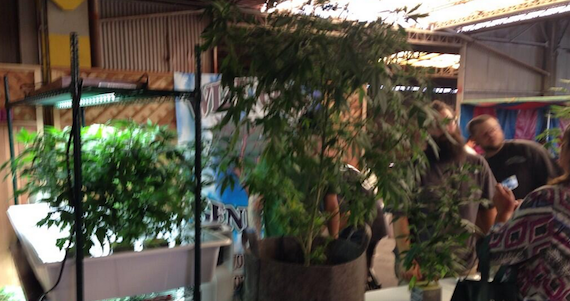 Foto: Twitter @SuperMattGraham