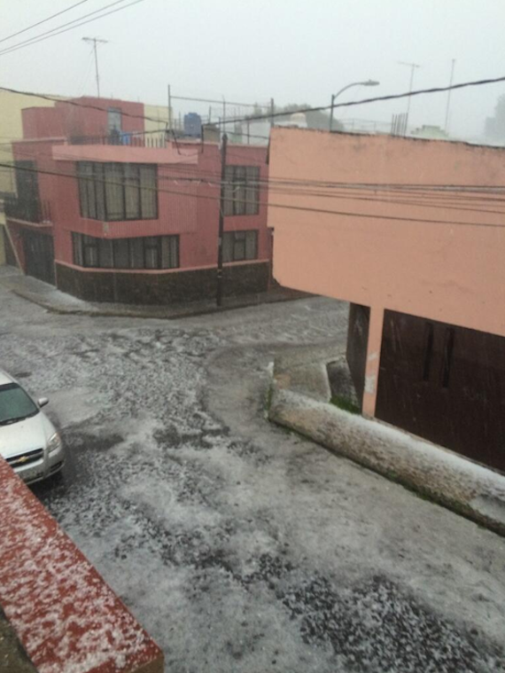 Foto: Vía Twitter @JoseLRend